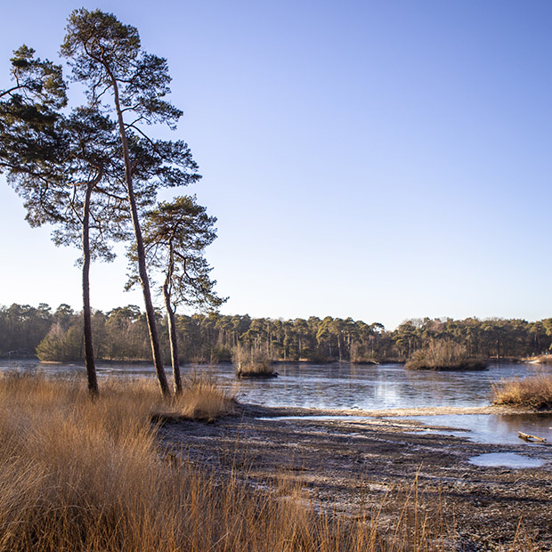 Winter fotografie Brabant