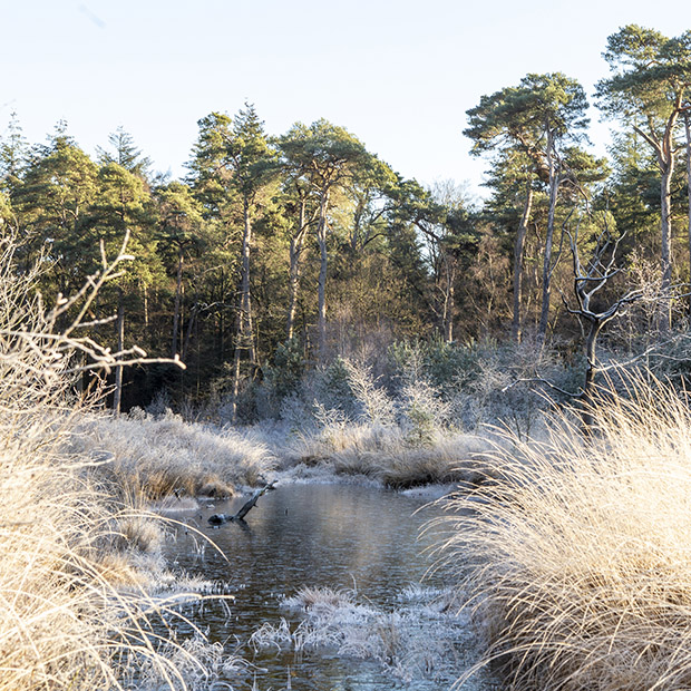 Winter fotografie Brabant