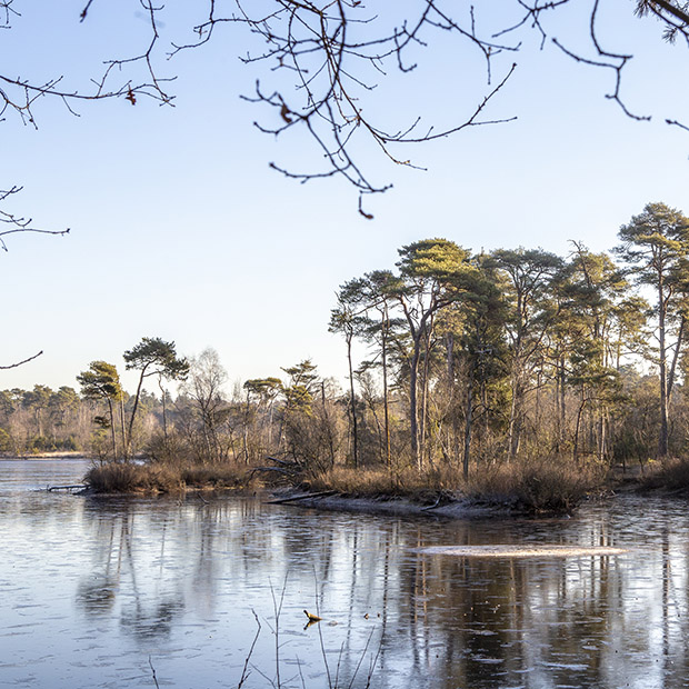 Winter fotografie Brabant