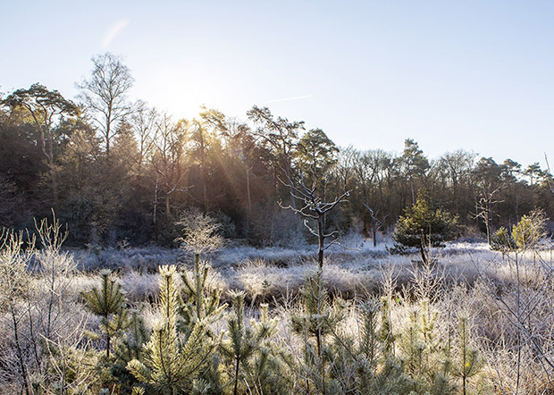 Winter fotografie Brabant