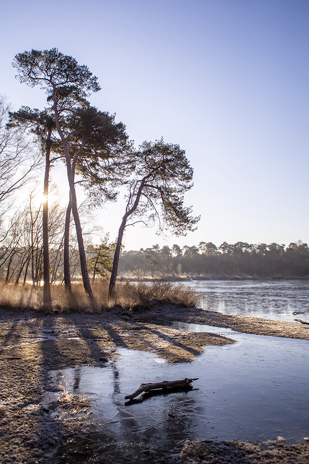 Winter fotografie Brabant