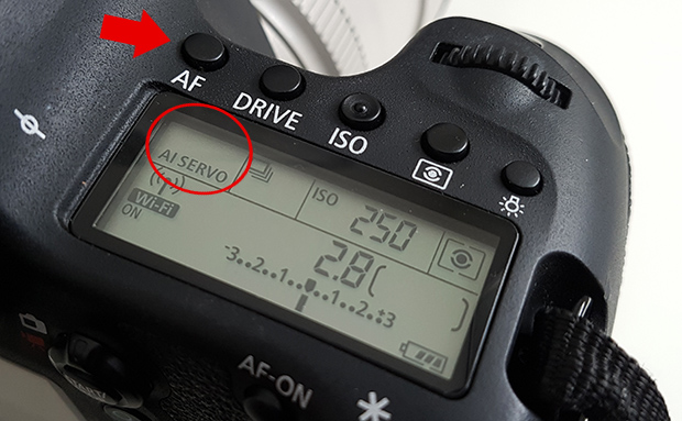 verschillende autofocus standen AI Servo