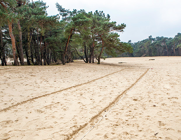 beste wegwerpcamera's