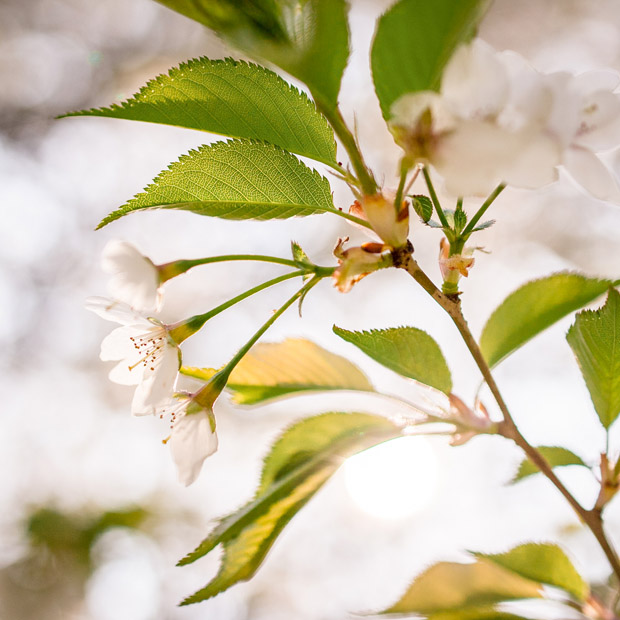 je eigen fotografie stijl ontwikkelen
