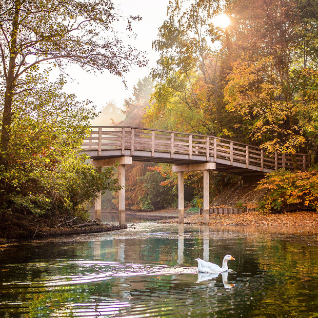 je eigen fotografie stijl ontwikkelen