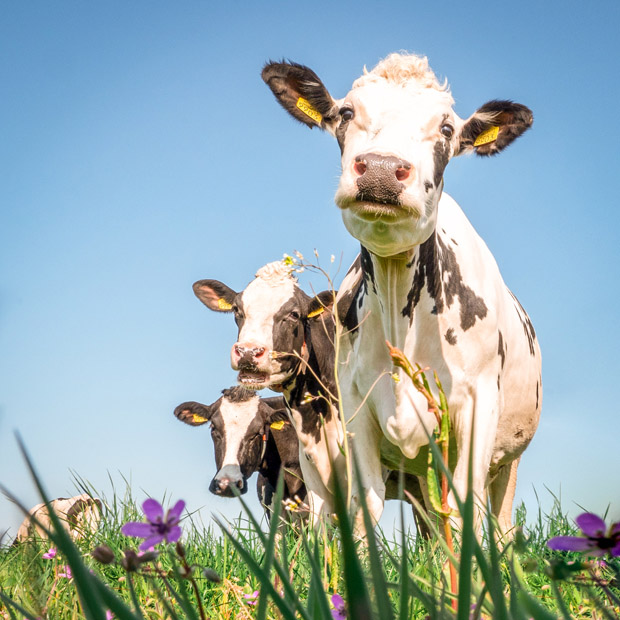 je eigen fotografie stijl ontwikkelen