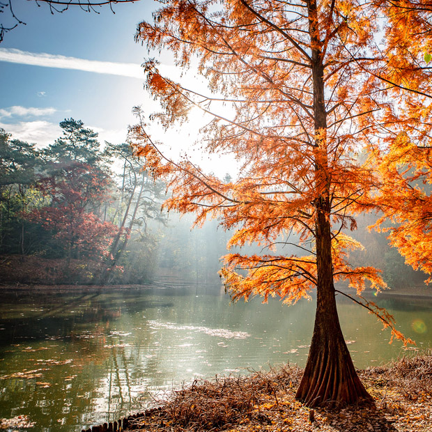je eigen fotografie stijl ontwikkelen