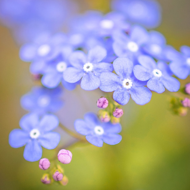 je eigen fotografie stijl ontwikkelen