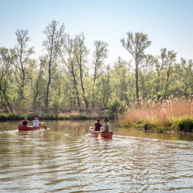 je eigen fotografie stijl ontwikkelen