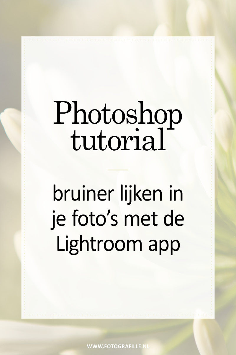 lightroom app bruiner lijken in foto