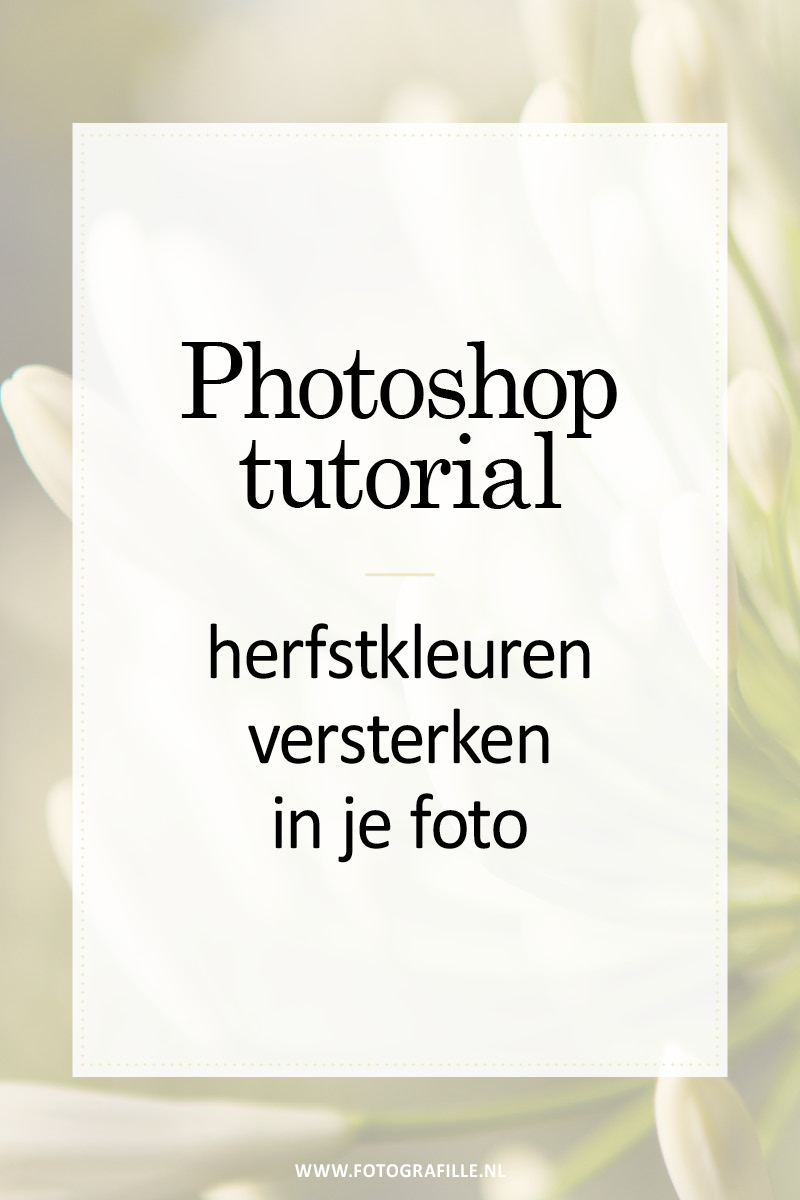 herfstkleuren versterken
