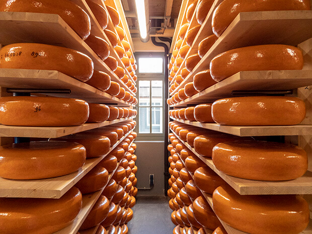 vestingstad Woerden cheese experience