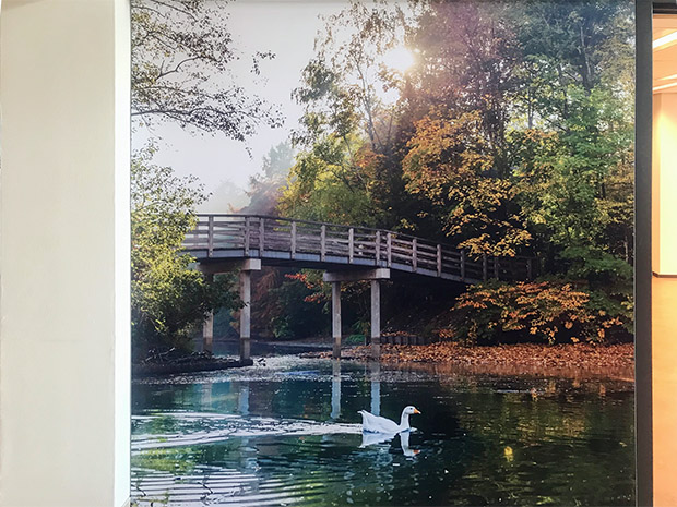 fotowand De Duynsberg