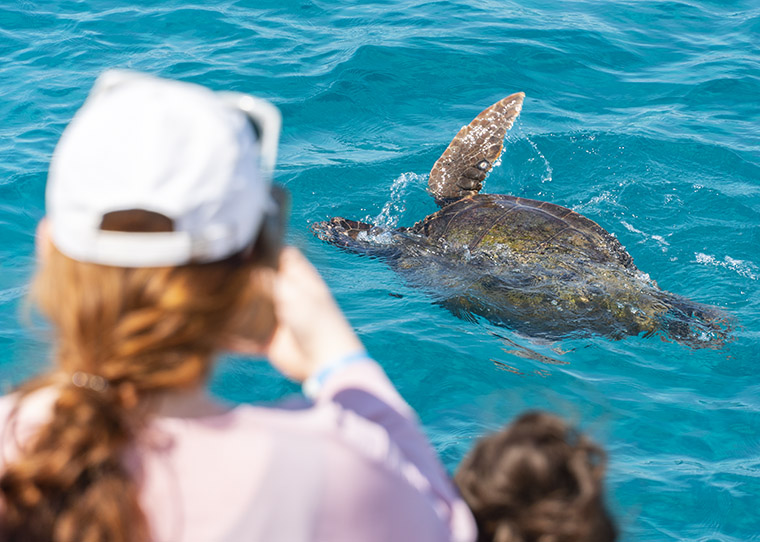 excursie zakynthos schildpadden