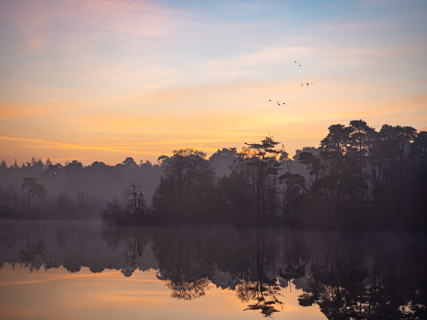 Olympus PEN E-PL10 review