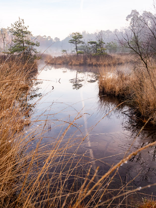 review systeemcamera olympus