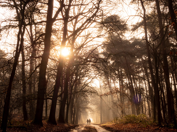 Olympus PEN camera's