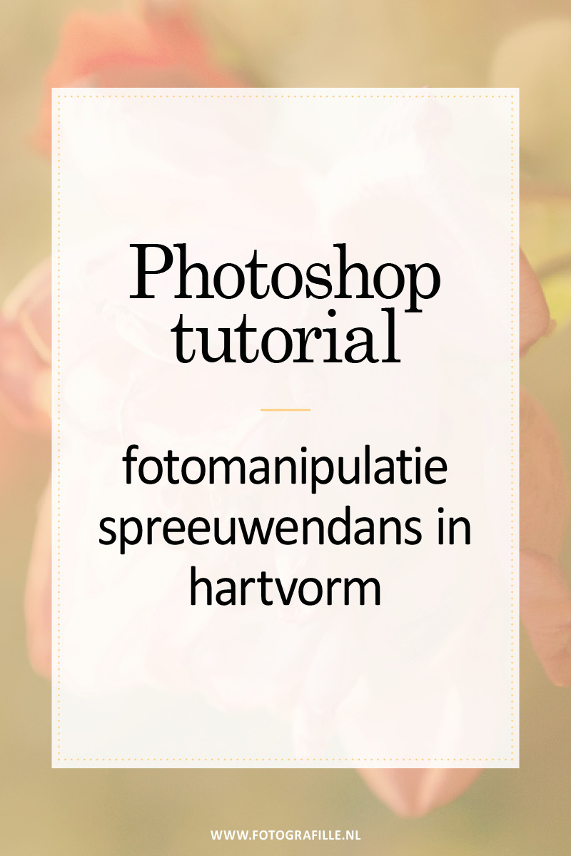 fotomanipulatie vogels