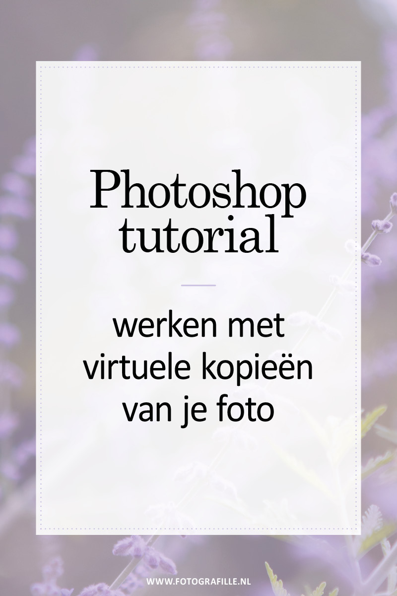 virtuele kopieën lightroom