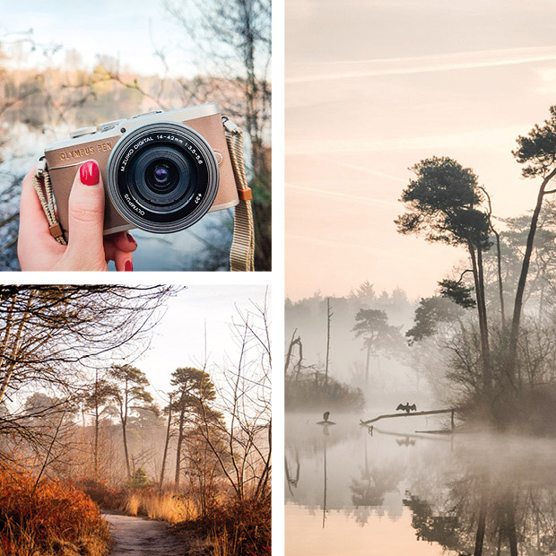 picturing life januari 2020