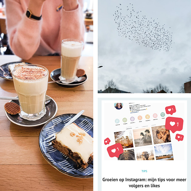 picturing life januari 2020