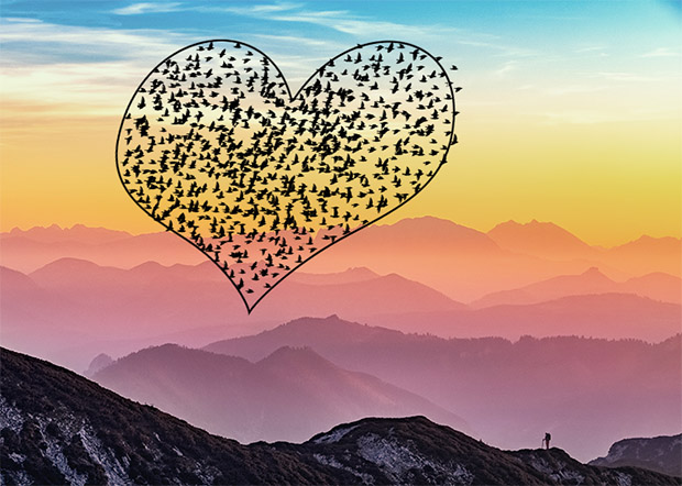 spreeuwen photoshop tutorial