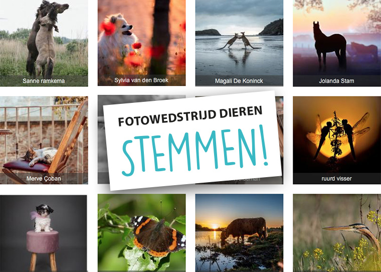 FF_fotowedstrijd-14_Dieren-stemmen-intro