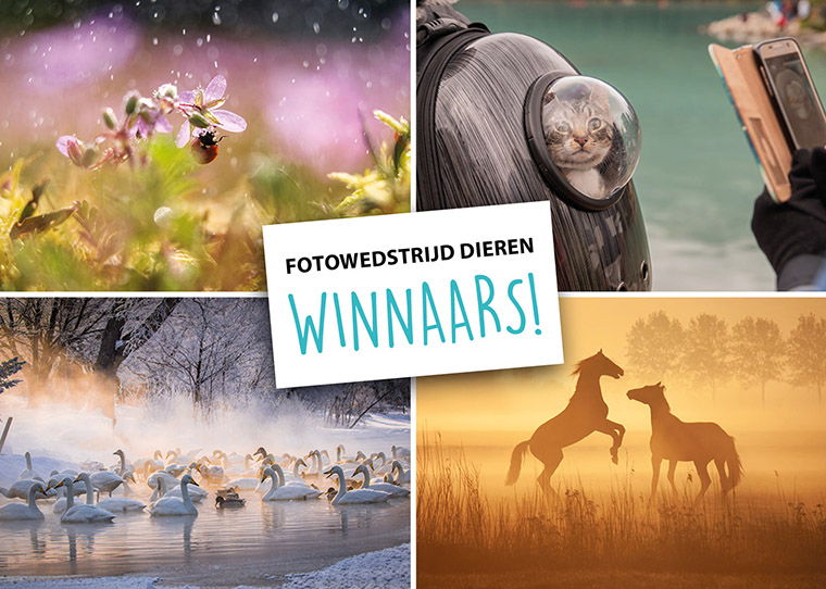 FF-fotowedstrijd-14-dieren-Winnaars