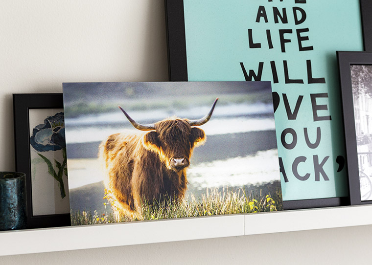 FF_floop-3D-fotoprint-fotoafdruk-review_01