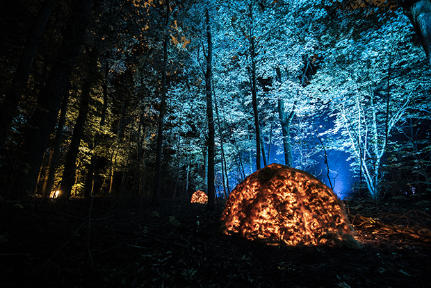 lichtshow in bos