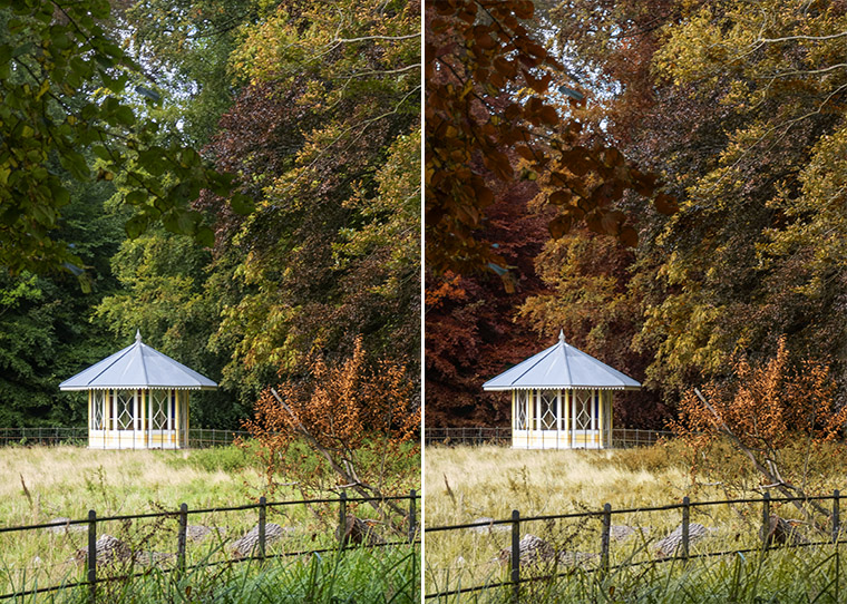 FF-groene-bomen-oranje-kleuren-herfst-01
