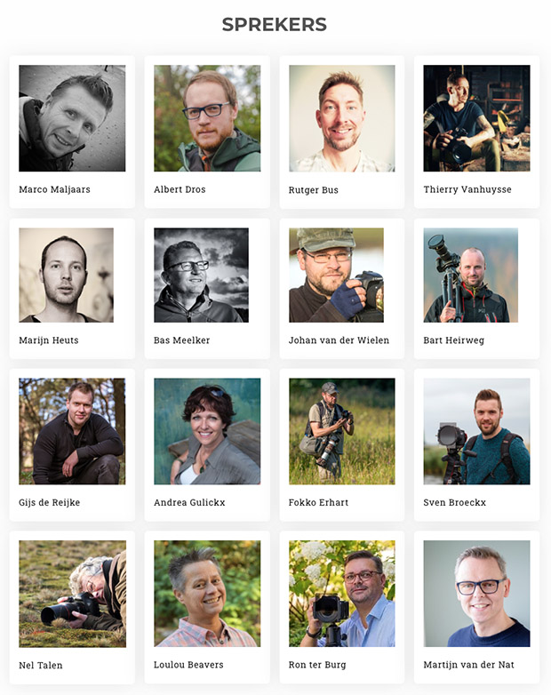 PiXperience WOWscapes Online