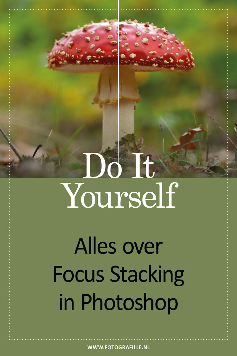 focus stacking tutorial