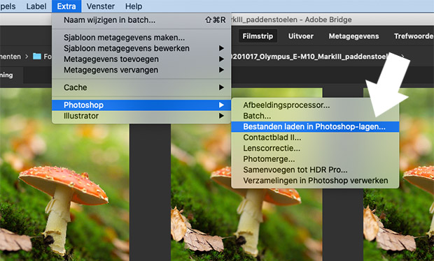 photoshop tutorial focus stacking