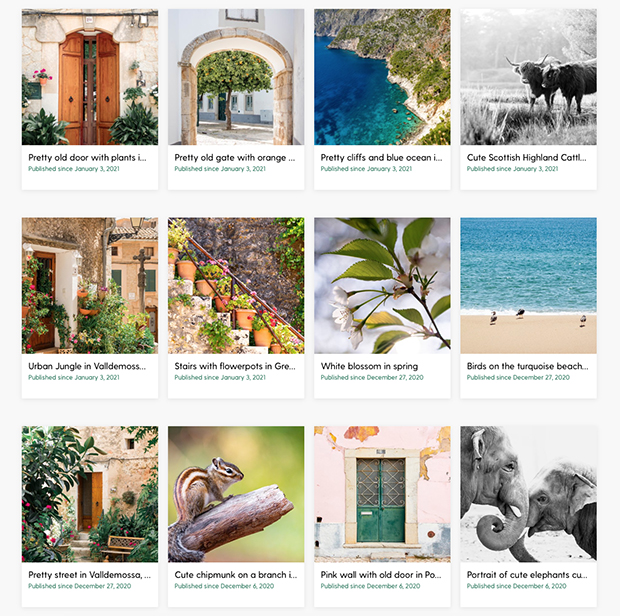 online foto's verkopen