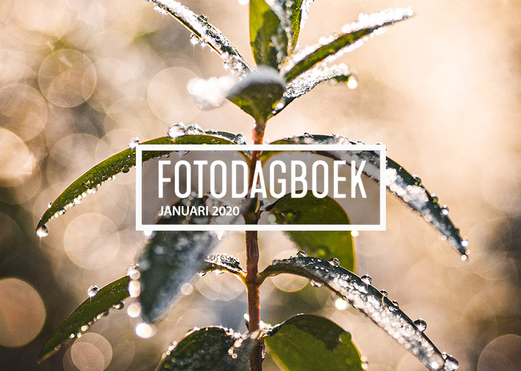 FF_Instagram_januari-2021