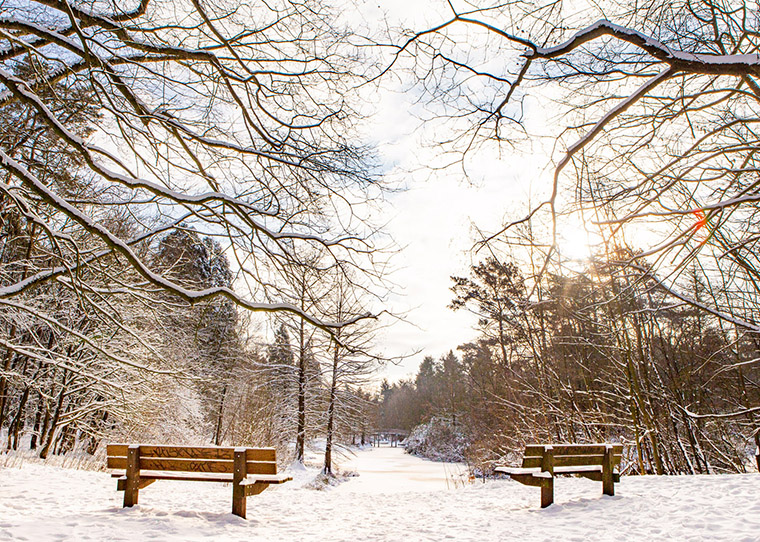 FF_wandelbos-tilburg-sneeuw_fotografie_01 fotograferen in de sneeuw