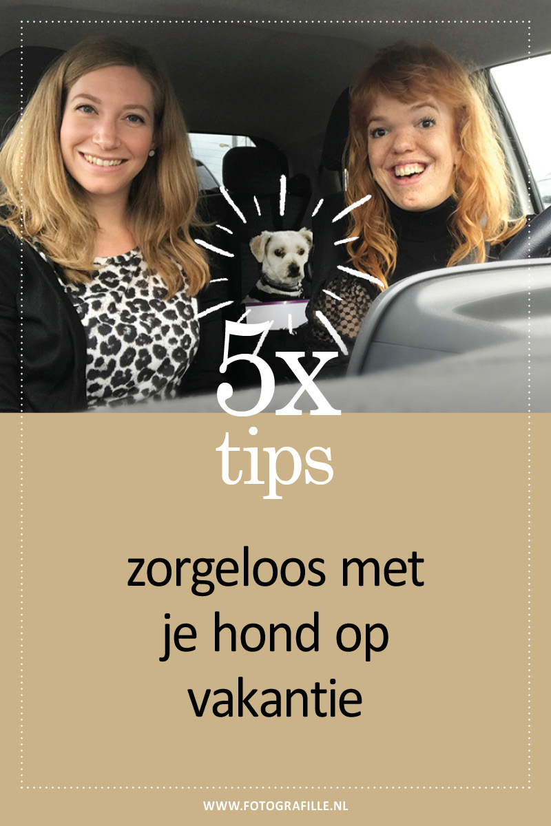 vakantie met je hond