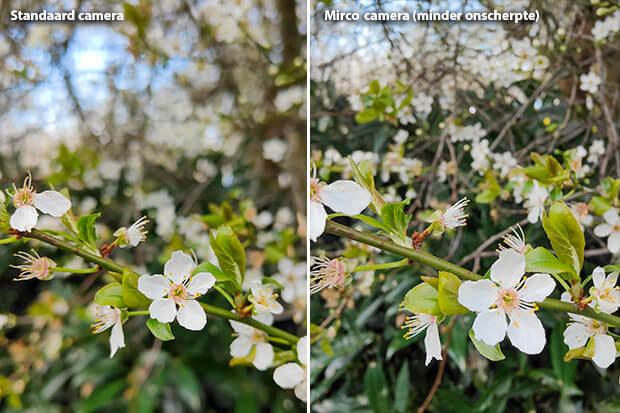 macro fotografie OPPO Find X3 Pro