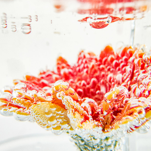 fruit in water