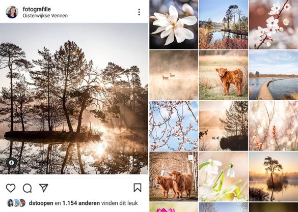 11x meer op Instagram krijgen in Fotografille