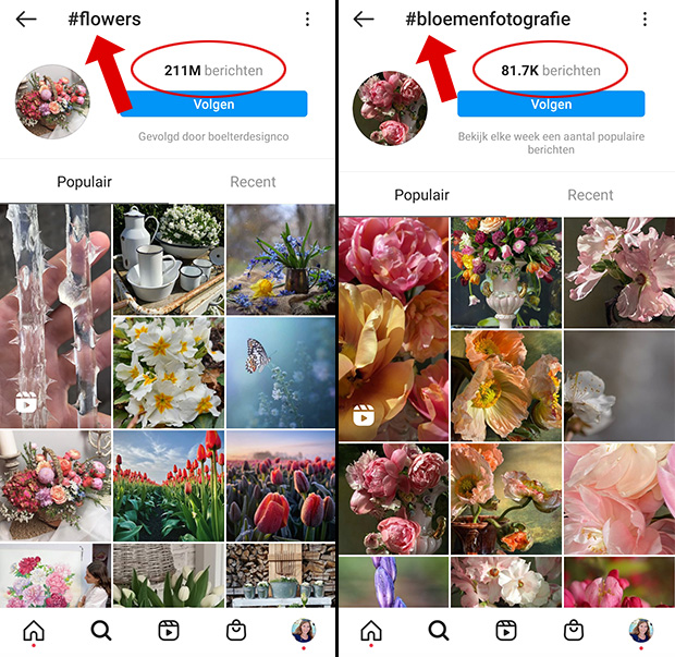 Extra Plantkunde Bloesem 11x meer volgers op Instagram krijgen in 2023! - Fotografille