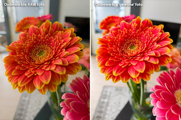 OPPO Find X3 RAW fotograferen