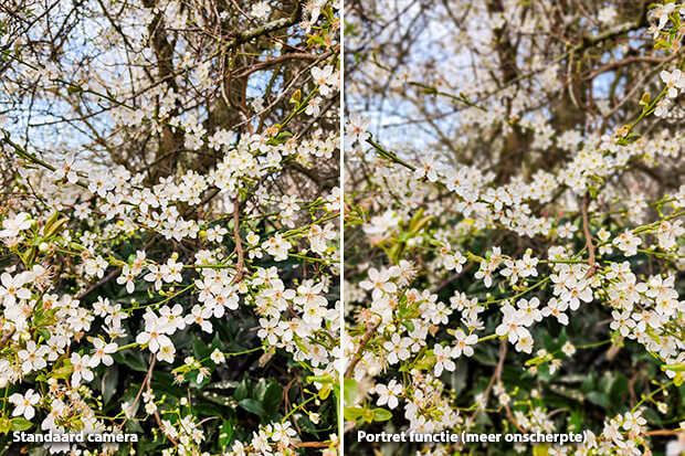 OPPO Find X3 Pro camera review