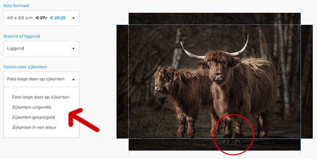 mooiste fotoafdrukken