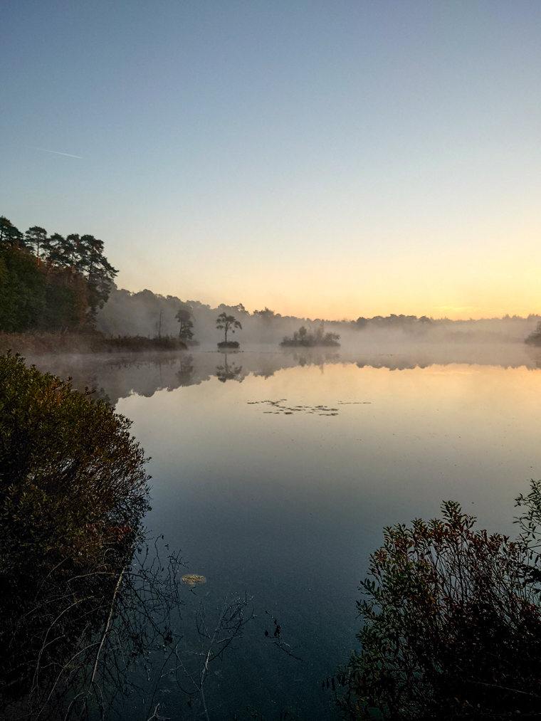 standaardlens sony xperia