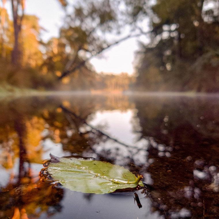 smartphone fotografie