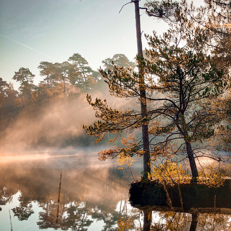 review sony xperia 5 III