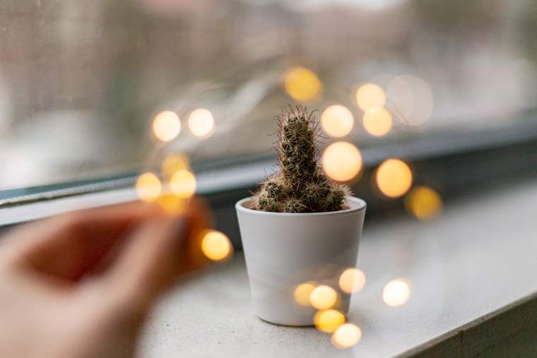 bokeh kader om je foto