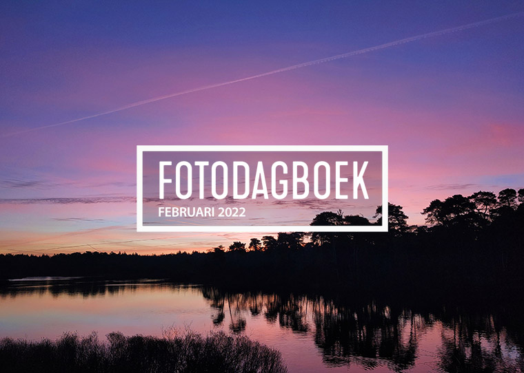 fotodagboek februari 2022